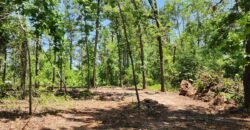 0 Carson Rd, Wrens, GA 30833