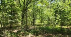 0 Carson Rd, Wrens, GA 30833