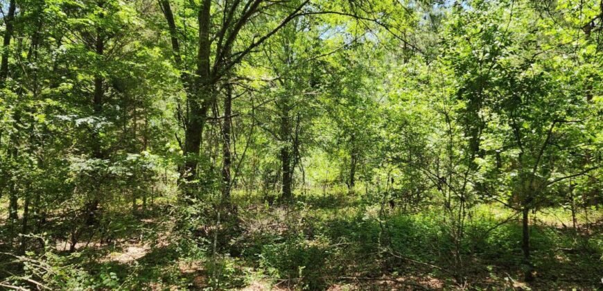 0 Carson Rd, Wrens, GA 30833