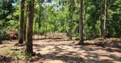 0 Carson Rd, Wrens, GA 30833