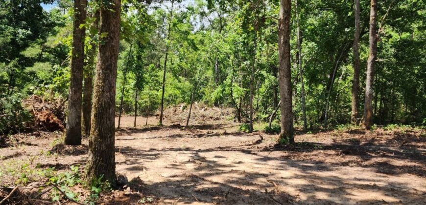 0 Carson Rd, Wrens, GA 30833