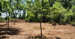 0 Carson Rd, Wrens, GA 30833