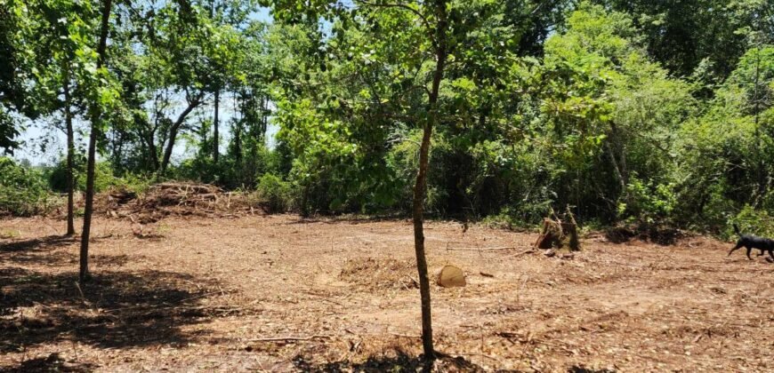 0 Carson Rd, Wrens, GA 30833