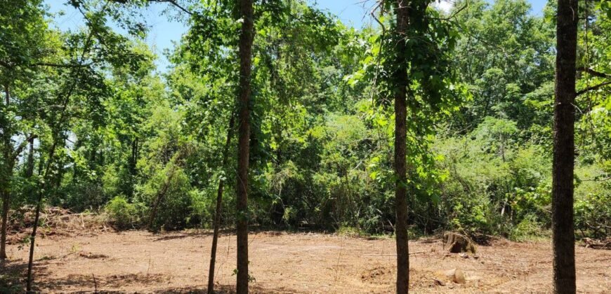 0 Carson Rd, Wrens, GA 30833