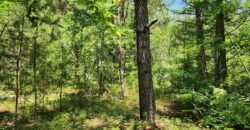 0 Carson Rd, Wrens, GA 30833