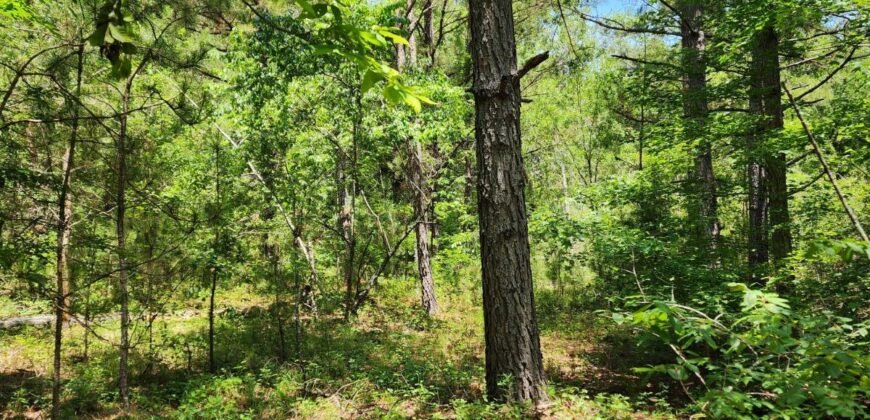 0 Carson Rd, Wrens, GA 30833