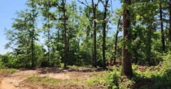 0 Carson Rd, Wrens, GA 30833