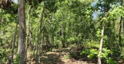 0 Carson Rd, Wrens, GA 30833