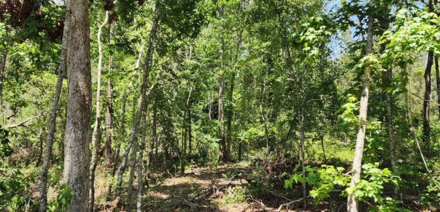 0 Carson Rd, Wrens, GA 30833